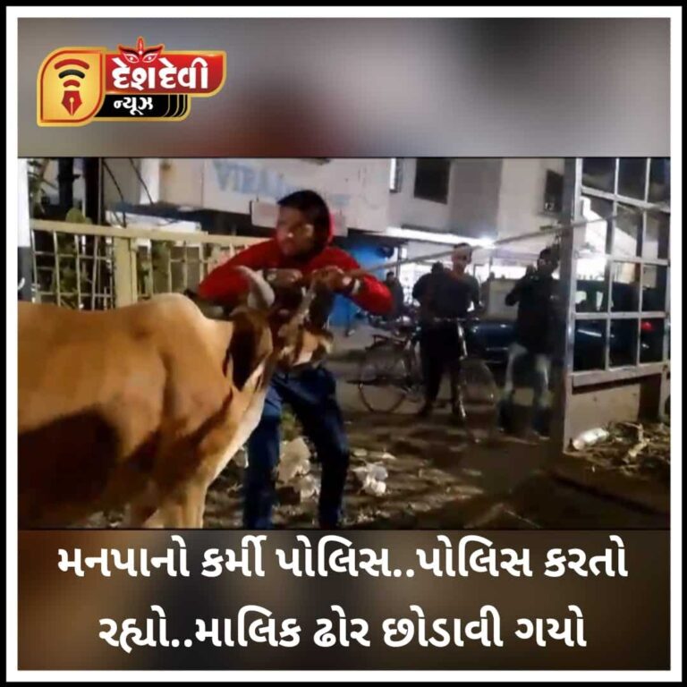 જામનગરમાં પોલિસ..પોલિસની બૂમો વચ્ચે ઢોર માલિક ગાય છોડાવી ગયો : જુવો Video